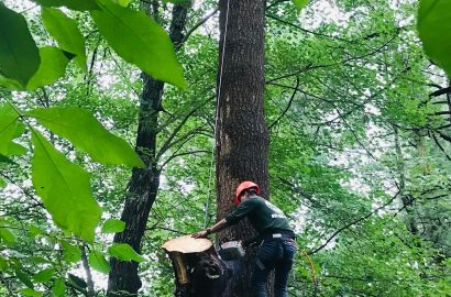 273148711_124969000045622_9097388701198577637_n