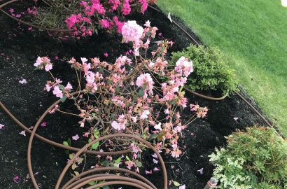 294120993_165734912635697_7858971933373128204_n