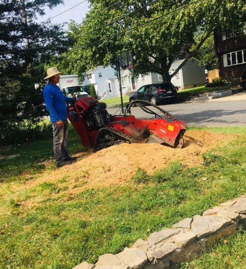 WhatsApp-Image-2021-12-22-at-12.00.01-PM-1